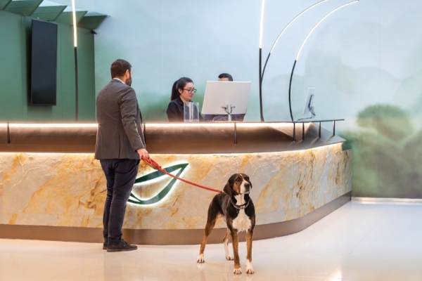 Travel with Pets