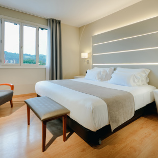 abba Euskalduna hotel