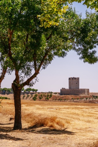 abba Las Viñas Tiedra Hotel Rural