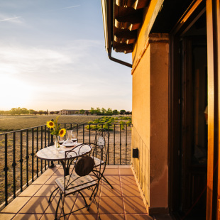 abba Las Viñas Tiedra