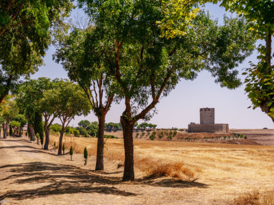 Abba Las Viñas Tiedra