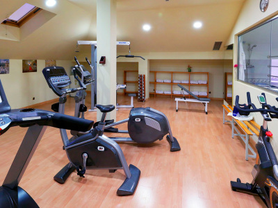 abba Fonseca hotel - Gym