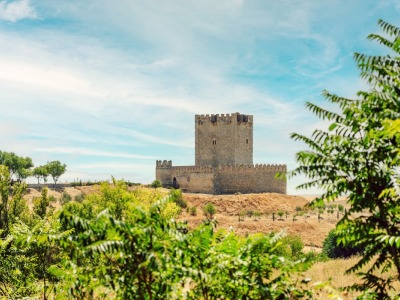 abba Las Viñas Tiedra