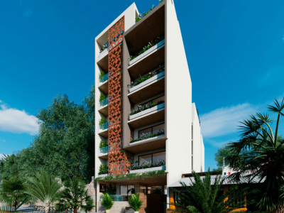 Galeria de imágenes