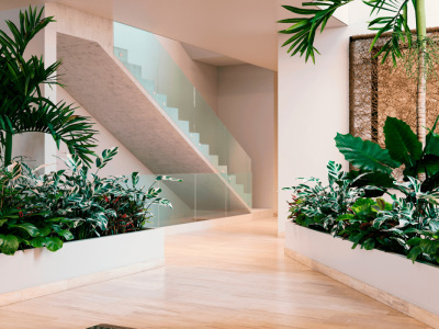 Galeria de imágenes
