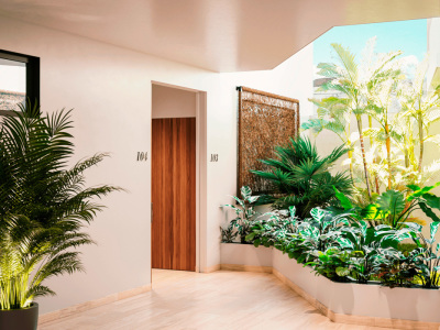 Galeria de imágenes