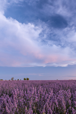 abba Las Viñas Tiedra Hotel Rural